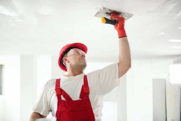 Best Emergency Mold Remediation  in Doniphan, MO